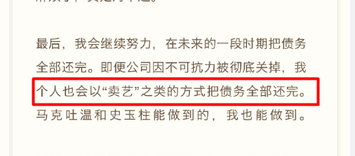 罗老师决定卖艺后，我准备扛起手机行业的大旗