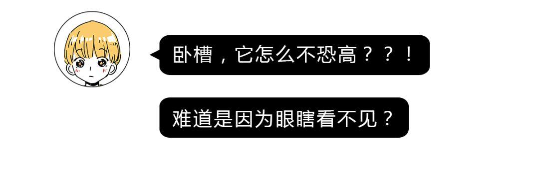 山羊这种生物，究竟有多牛？