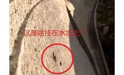 山羊这种生物，究竟有多牛？