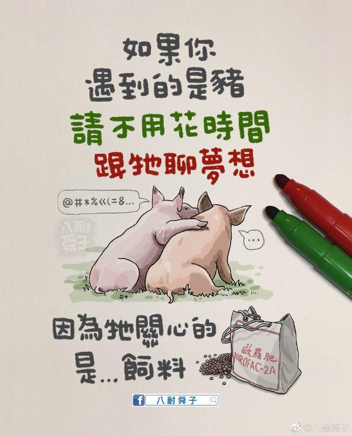 别去劝一个执意要吃屎的人 别去劝一个执意要吃屎的人