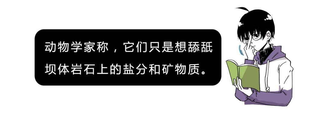 山羊这种生物，究竟有多牛？