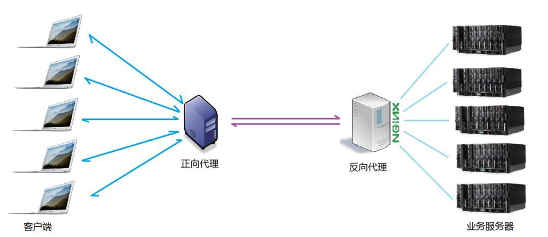 看完这篇还不了解 Nginx，那我就哭了！