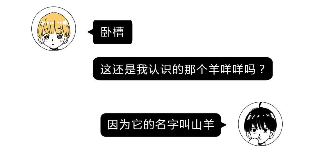 山羊这种生物，究竟有多牛？