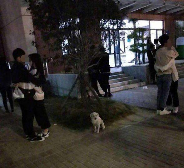 各对情侣请注意,请注意 各对情侣请注意,请注意