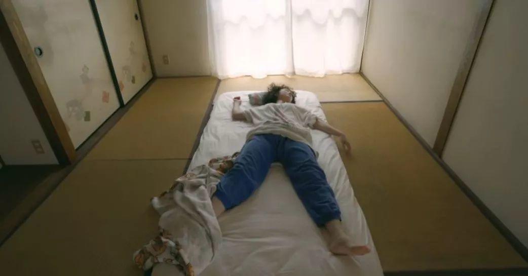 清华博士在家给猫讲函数：不能出门的春节假期，不如一起学习