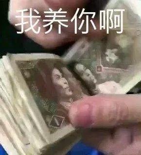 故宫奔驰女炫富系列：有本事炫耀，有本事别翻车啊！