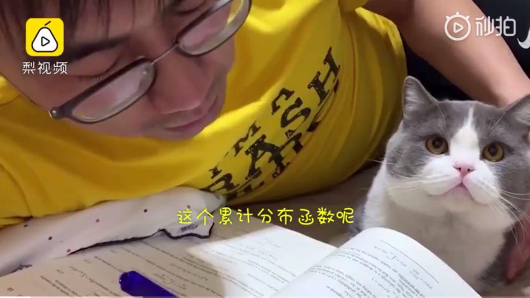 清华博士在家给猫讲函数：不能出门的春节假期，不如一起学习