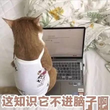 电影投资的背后，是韭菜的撒币梦