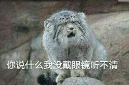 电影投资的背后，是韭菜的撒币梦
