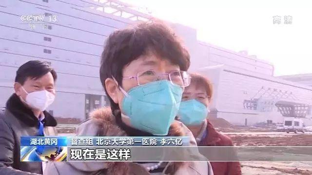“这个我不知道！”中央督查组赴黄冈检查，当地卫健委主任竟一问三不知