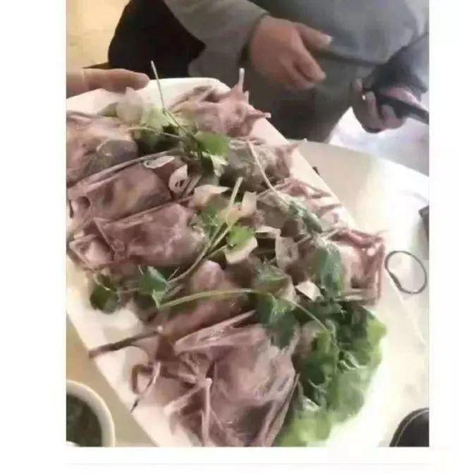 野味交易的游击战争