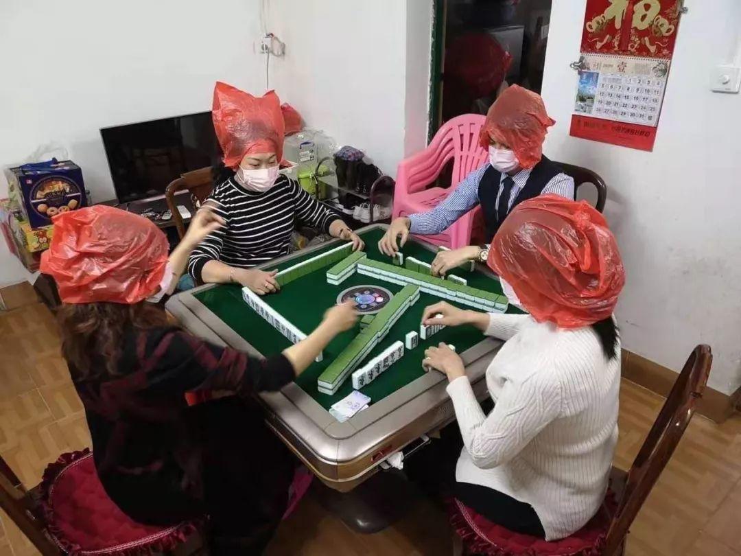 清华博士在家给猫讲函数：不能出门的春节假期，不如一起学习