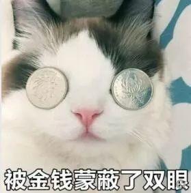 电影投资的背后，是韭菜的撒币梦