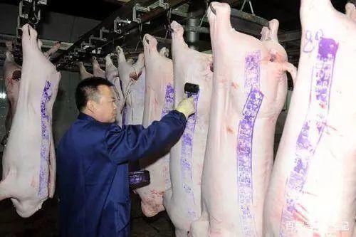 野味交易的游击战争