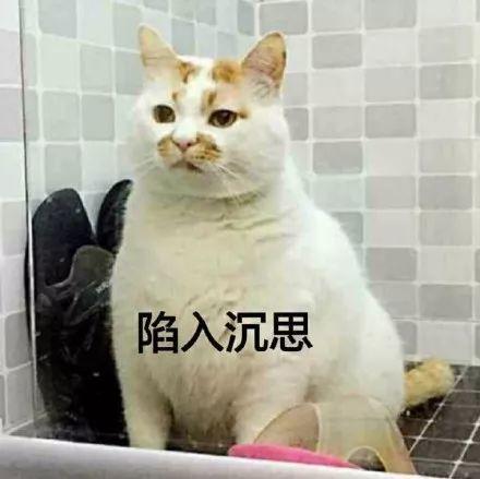 保险业蹭热点迷惑行为大全 保险业蹭热点迷惑行为大全
