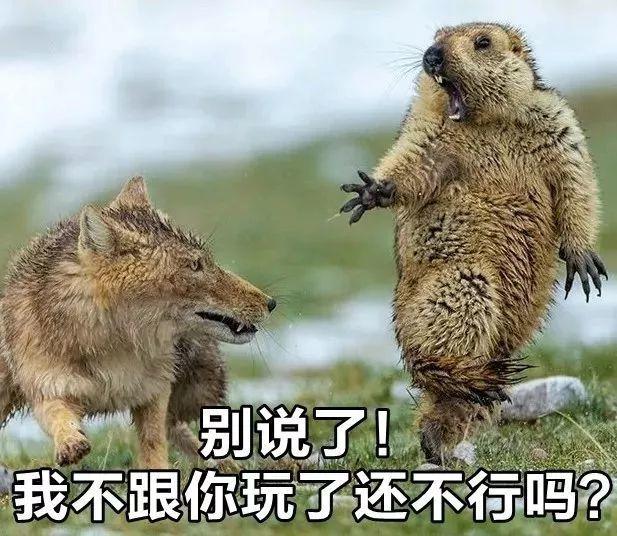电影投资的背后，是韭菜的撒币梦