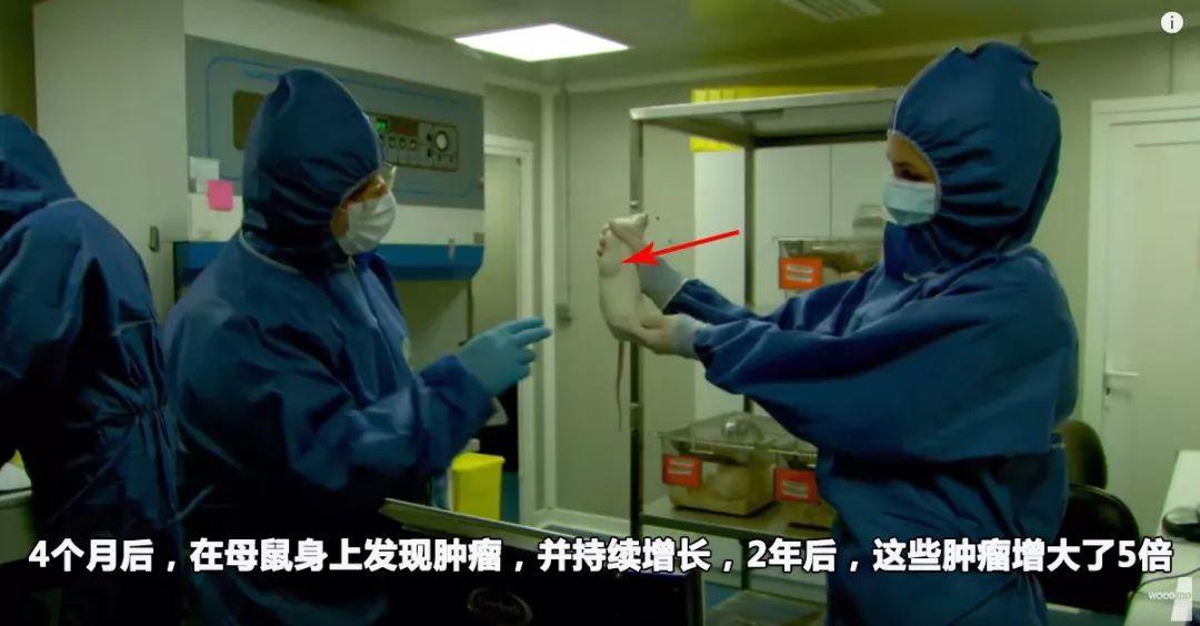 永不患癌,国外专家的癌症食物清单流出,最大限度减少风险... 永不患癌,国外专家的癌症食物清单流出,最大限度减少风险...