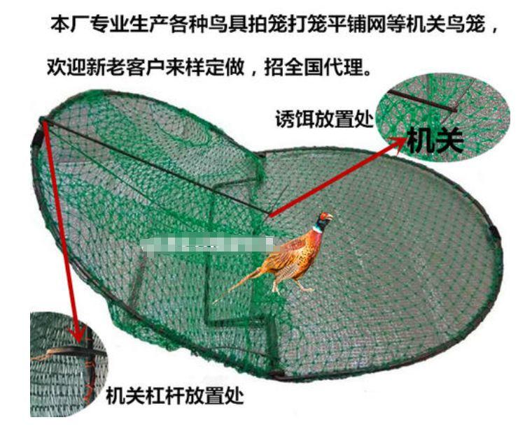 野味交易的游击战争