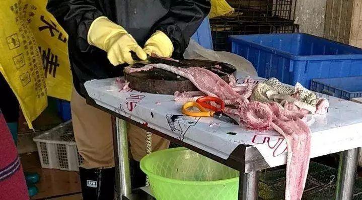 野味交易的游击战争