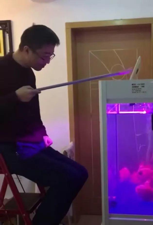 清华博士在家给猫讲函数:不能出门的春节假期,不如一起学习 清华博士在家给猫讲函数:不能出门的春节假期,不如一起学习