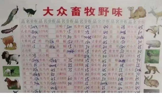 野味交易的游击战争