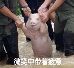 药物所和双黄连，骂人的事情我也不想说太过