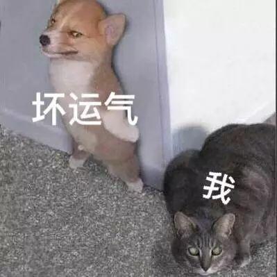 保险公司不招人，只招客户