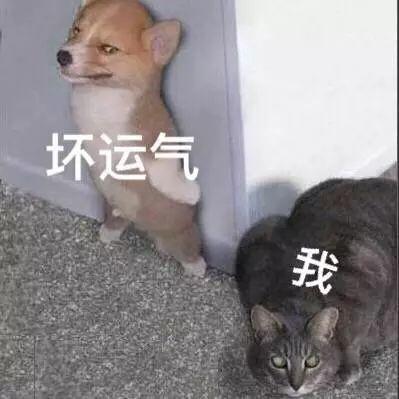 保险公司不招人，只招客户