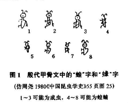 恳请大家别再对非洲沙漠蝗流口水了！