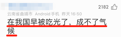 恳请大家别再对非洲沙漠蝗流口水了! 恳请大家别再对非洲沙漠蝗流口水了!