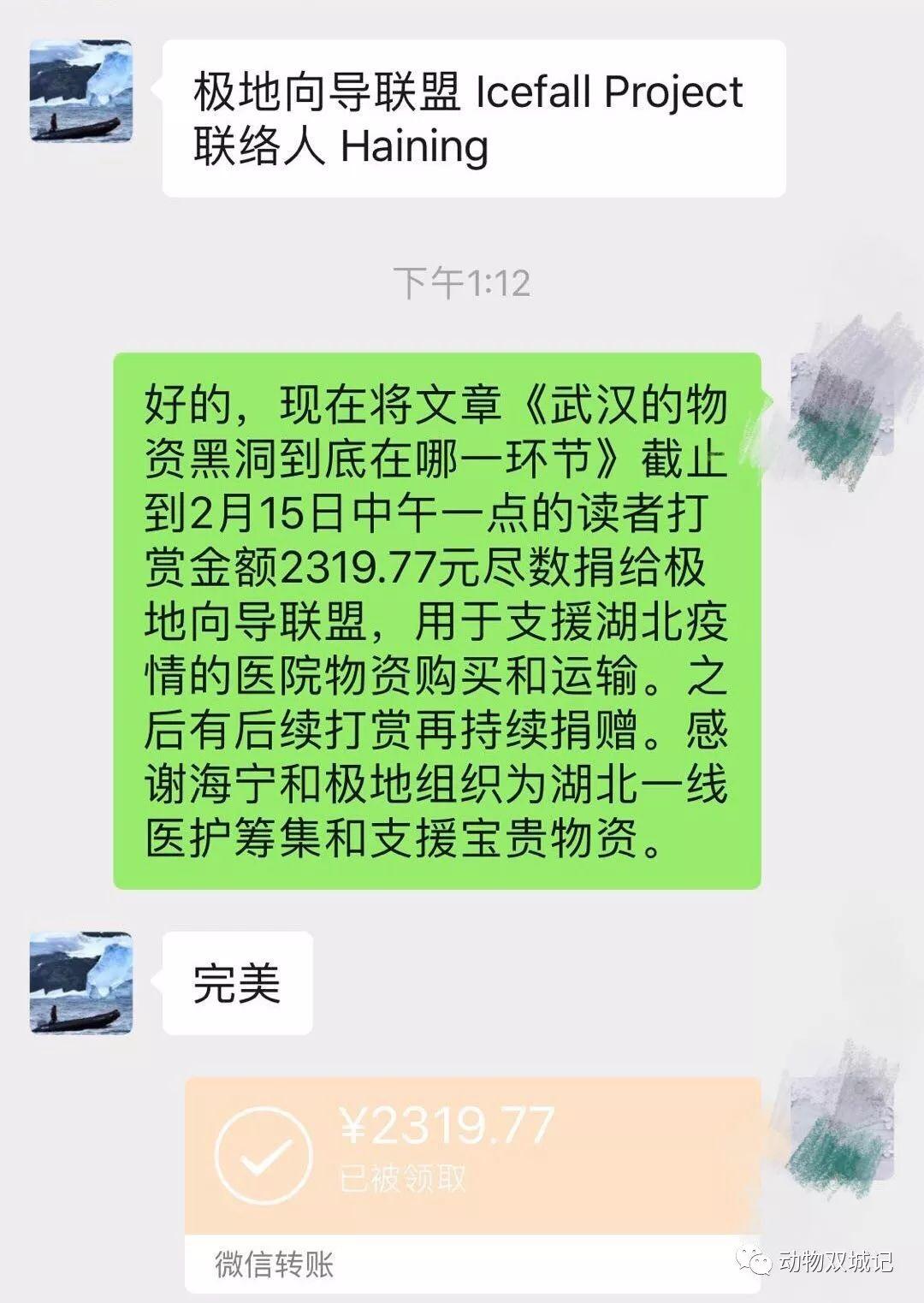 不戴口罩的新加坡，会成下一个武汉吗？