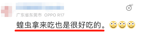 恳请大家别再对非洲沙漠蝗流口水了! 恳请大家别再对非洲沙漠蝗流口水了!