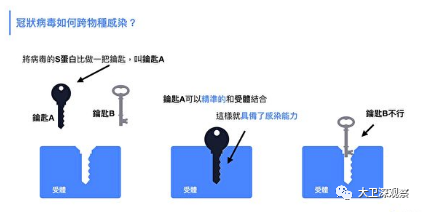 新冠病毒神秘来源