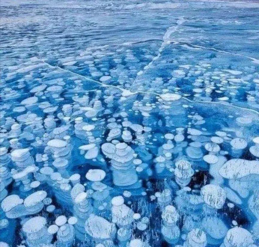 熵增面前何以求存？南极惊现20℃高温，前因与后果都与人类相关