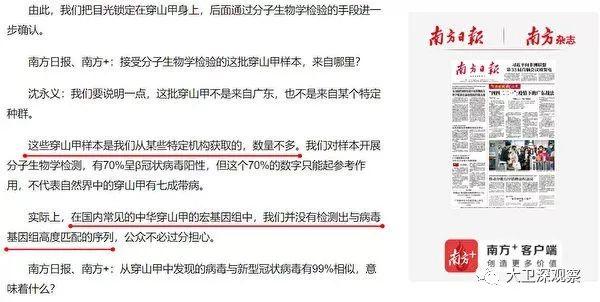 新冠病毒神秘来源