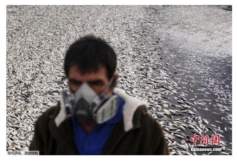 熵增面前何以求存？南极惊现20℃高温，前因与后果都与人类相关