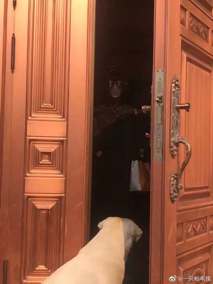 没口罩的硬核网友们怎么出门？笑着笑着就心疼了