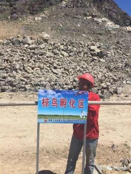 蝗灾有没有蔓延到中国境内的可能性？问题比你想的更严重
