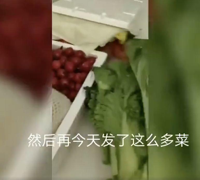 贵州捐给鄂州的菜，不只烂在仓库……