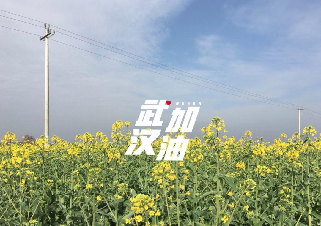 3327万人围观，武汉方舱医院的一天！新冠肺炎患者自拍视频，“笑着笑着，我就哭了！”