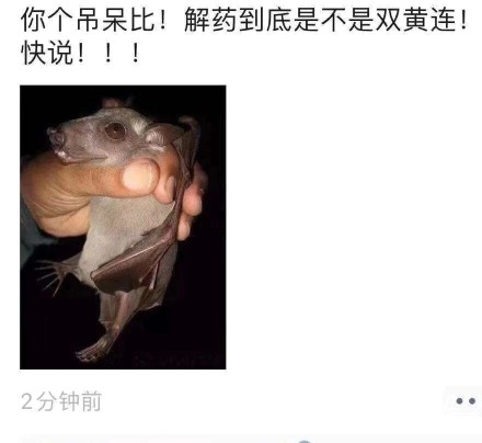 药物所和双黄连，骂人的事情我也不想说太过