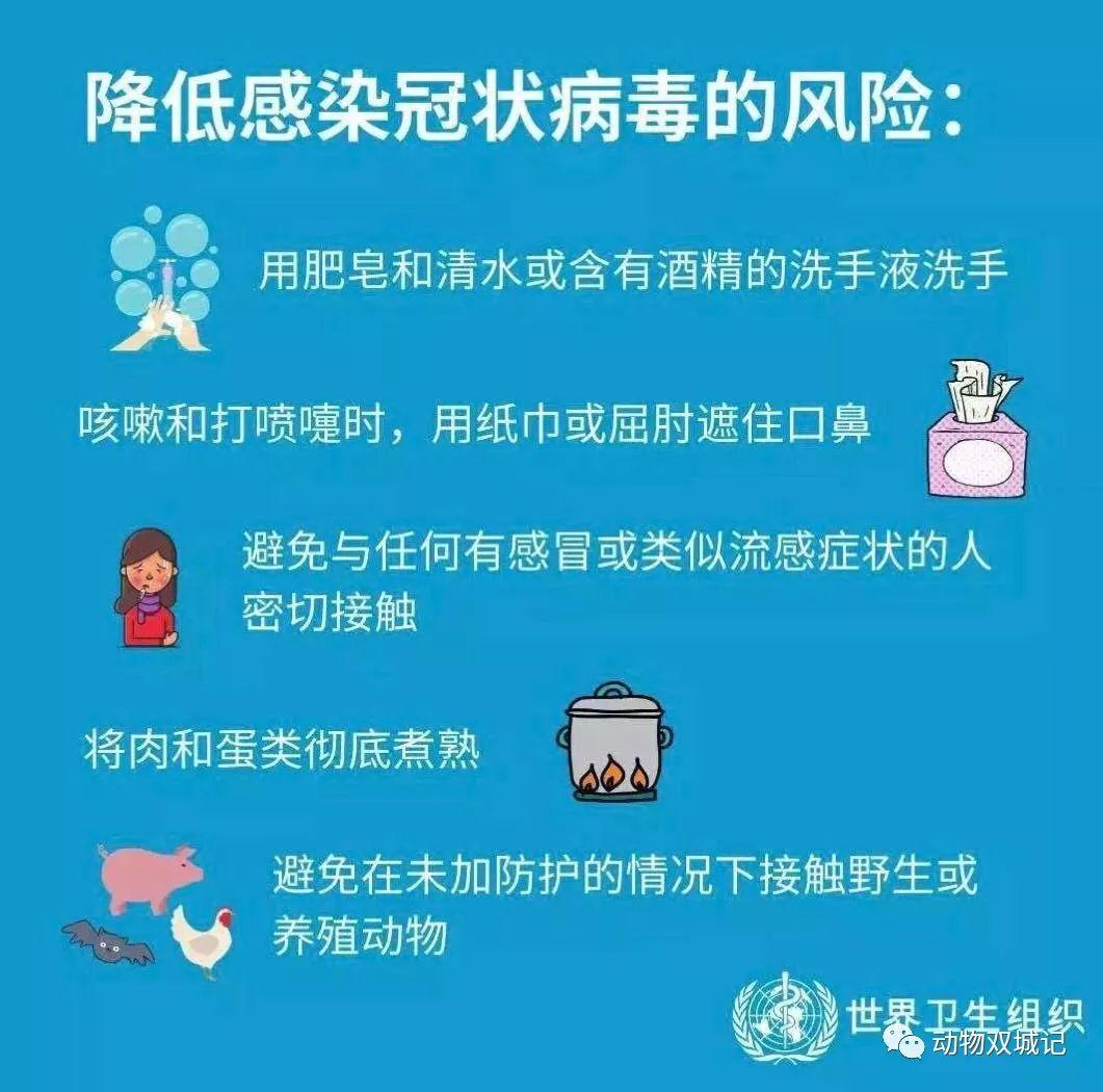 不戴口罩的新加坡，会成下一个武汉吗？