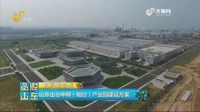 原来,我们真的错怪韩国人了!人家跑到青岛只是为了这个 原来,我们真的错怪韩国人了!人家跑到青岛只是为了这个
