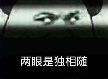 保险公司不招人，只招客户