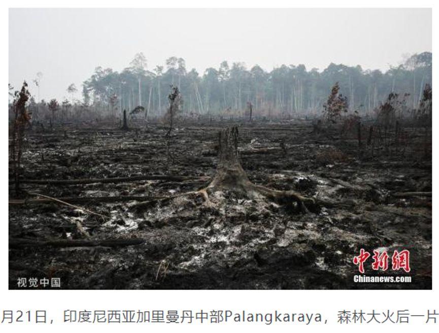 熵增面前何以求存？南极惊现20℃高温，前因与后果都与人类相关