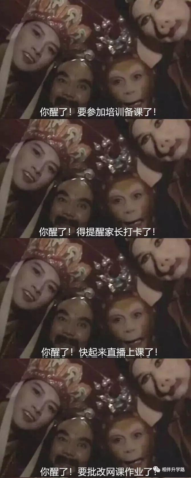 被网课逼疯,老师当上主播,直喊:我太难了!学生们的回应,让人苦笑不得 被网课逼疯,老师当上主播,直喊:我太难了!学生们的回应,让人苦笑不得