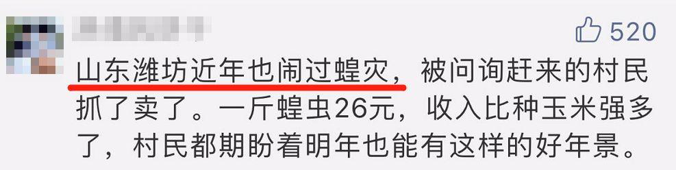 恳请大家别再对非洲沙漠蝗流口水了！