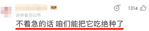 恳请大家别再对非洲沙漠蝗流口水了! 恳请大家别再对非洲沙漠蝗流口水了!