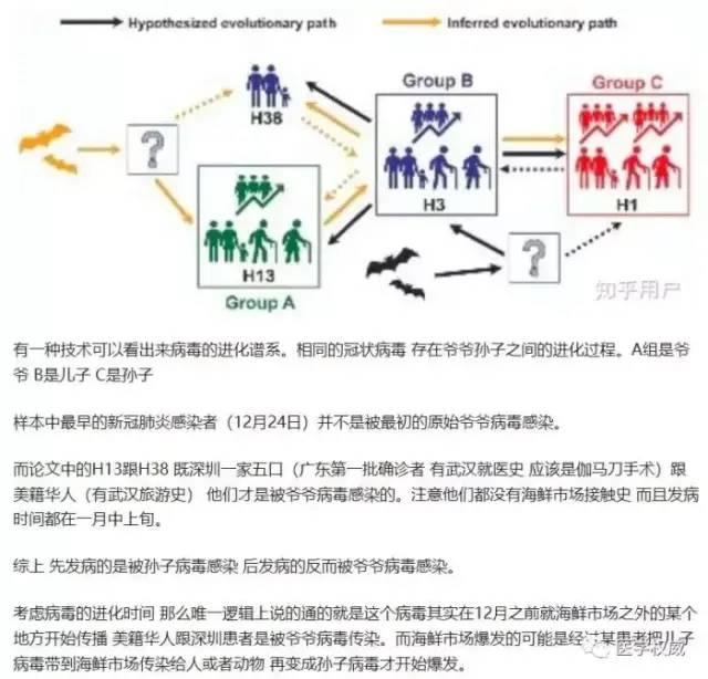 外交部发言人正式提出美国放的毒，可能是美军把疫情带到武汉！