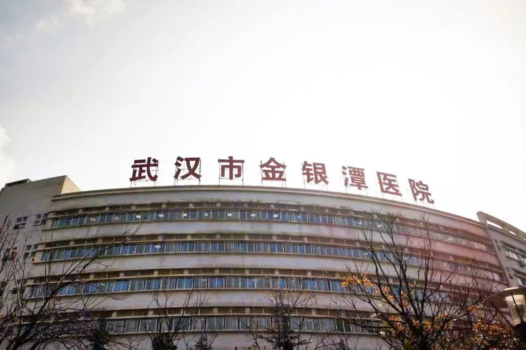 中国首位确诊新冠肺炎的一线记者:除了狗,我全家都被感染了 中国首位确诊新冠肺炎的一线记者:除了狗,我全家都被感染了